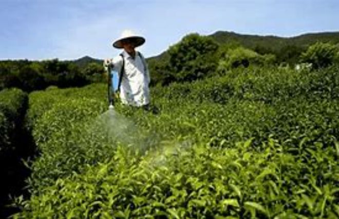 一jbo竞博app官网天两次预警欧盟拒中国茶叶入境！是刻意针对还是另有原因？(图21)