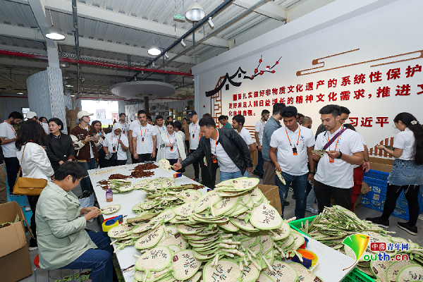 进展馆、摘茶叶、做藤编……来华留学生沉浸式体验三秦文化(图2)
