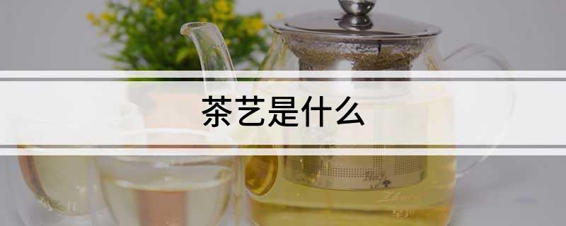 茶艺是什么jbo竞博网址(图1)