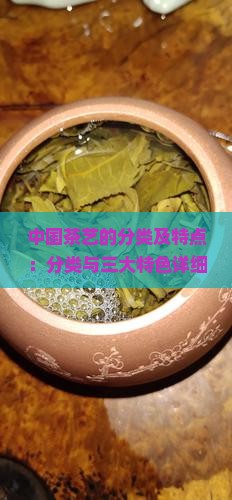 中国茶艺的分类及特点：分类与三大特色详细介绍(图3)