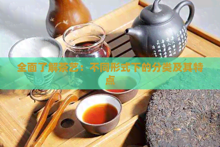 全面了解茶艺：不同形式下的分类及其特点jbo竞博注册(图1)