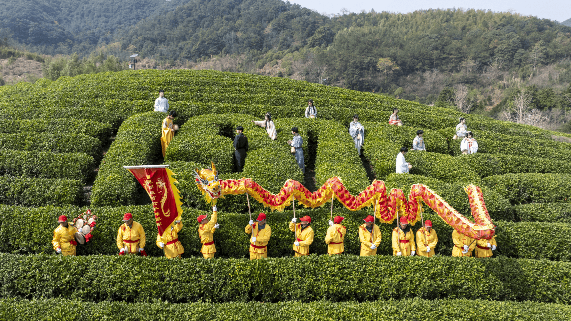 宁波海曙第七届开茶节启幕(图1)