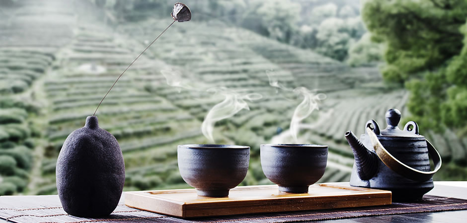 华声在线专题