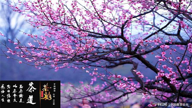 jbo竞博下载本站域名(图1)