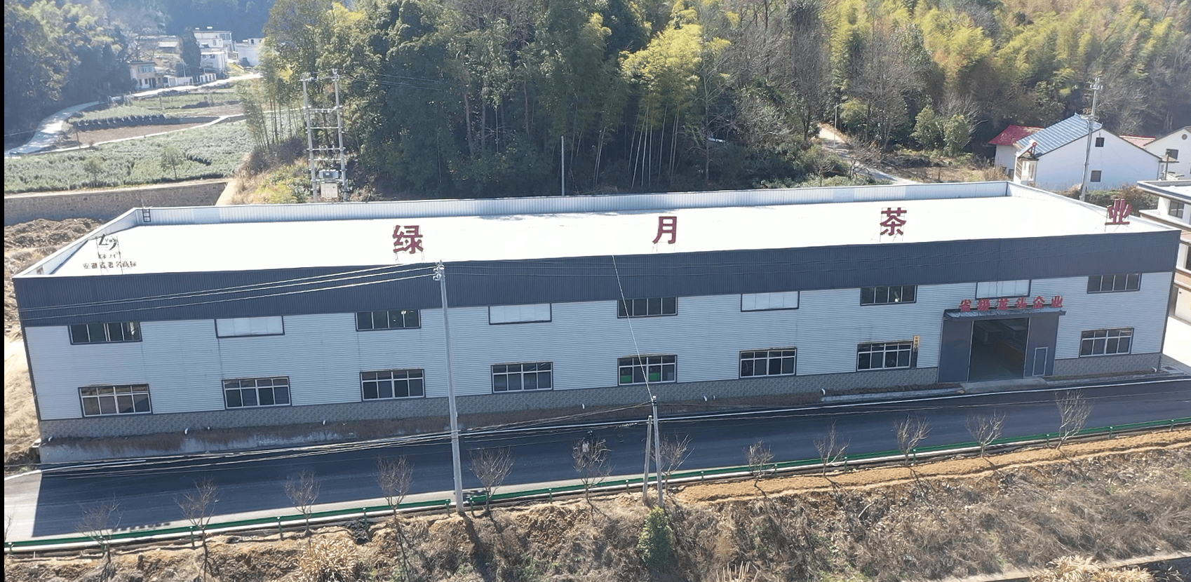 绿月茶业：中国茶文化走向世界而努力（二）(图3)