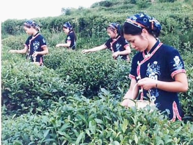 非遗花朝绽异彩 百花文旅启新程 新洲区非遗赋能助推文旅产业高质量发展(图4)