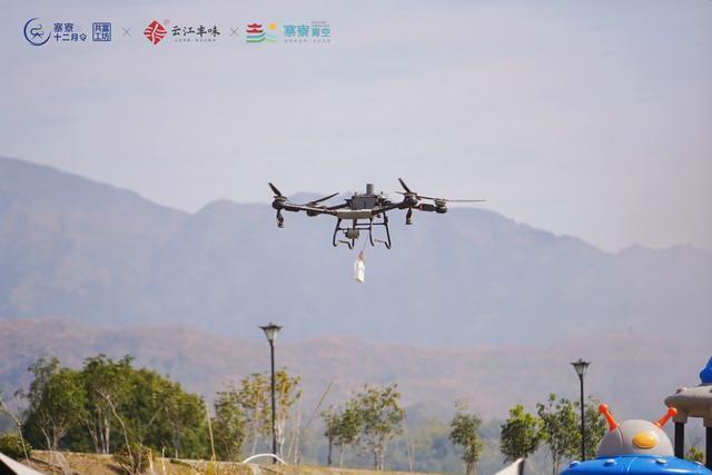高楼早茶季：茶香四溢品味千年茶韵的春日盛宴(图7)