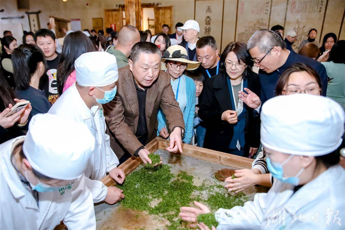 恩施玉露茶jbo竞博APP商大会举行 恩施市获评“蒸青茶传承保护核心区”(图1)