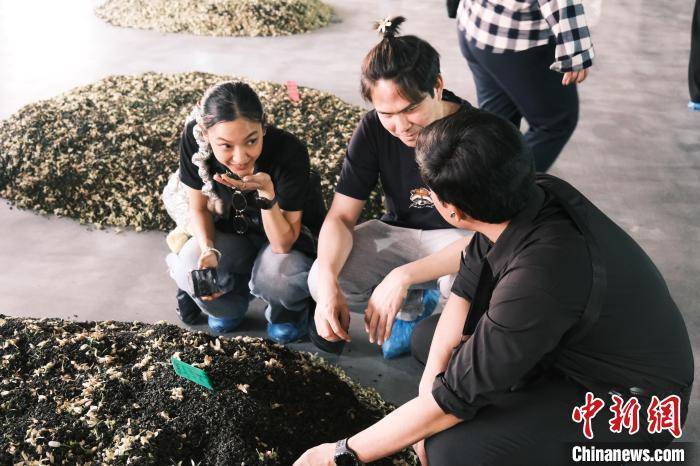外国留学生福建漳州研习茶艺(图3)