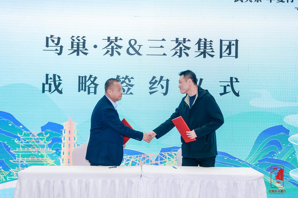 以茶为媒推动茶文化传承与产业高质量发展(图3)