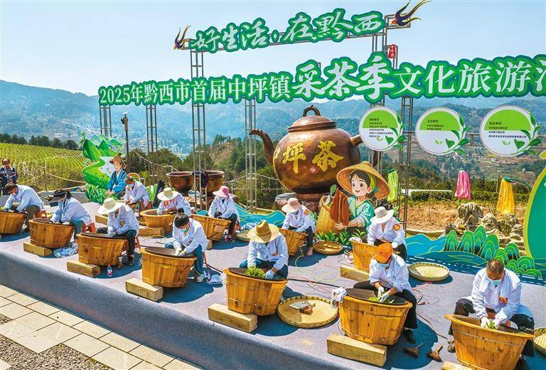 春茶飘香中经视觉村民(图1)