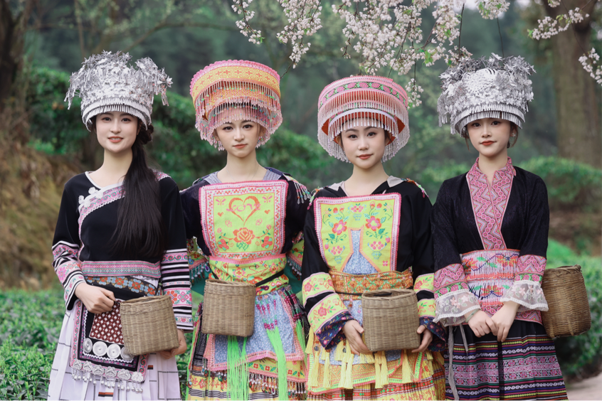 茶旅融合绘就乡村振兴新画卷——古蔺县马嘶苗族乡第九届茶文化周启幕(图3)