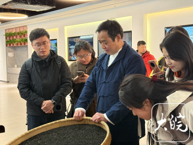 春游江淮请您来｜祁门红茶松萝茶等安徽名茶等你品鉴(图2)