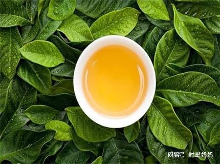 jbo竞博网址广州天河区品茶工作室约茶界天花板学妹收藏的联系方式(图1)