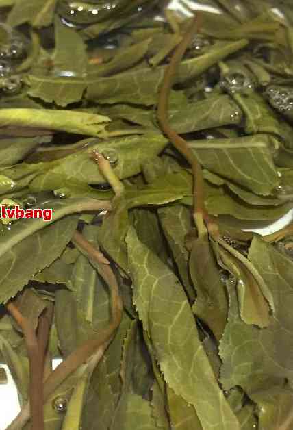 昔归古树茶价格表：发现茶叶珍品的门票(图2)