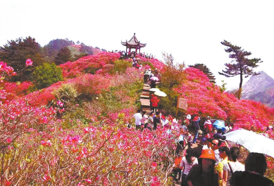 从“网红景点”到“产业支点”看黄冈“上春山”的流量转化密码(图1)