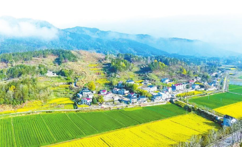 从“网红景点”到“产业支点”看黄冈“上春山”的流量转化密码(图3)