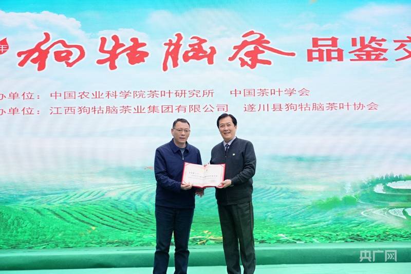 以茶为笔绘产业蓝图2025 狗牯脑茶品鉴jbo竞博入口交易会在江西遂川举行(图4)