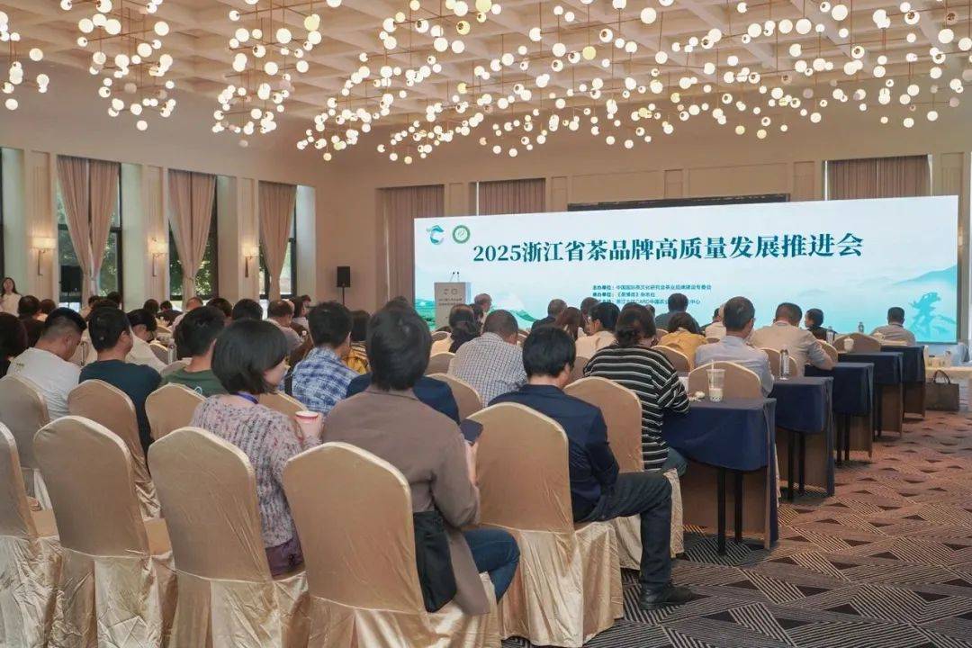 春茶季丨胡晓云主任公布2024浙江茶叶区域公用品牌声誉评价报告(图2)