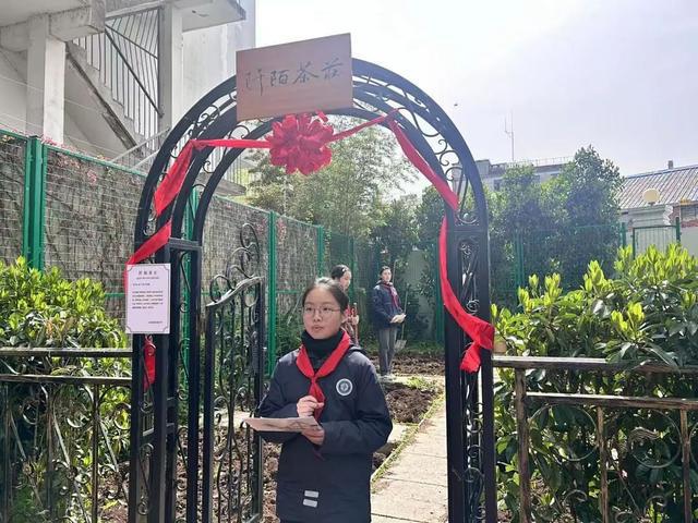 jbo竞博下载自己种自己喝杨浦这所中学“长”出一个诗画茶园(图2)