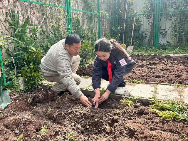 jbo竞博下载自己种自己喝杨浦这所中学“长”出一个诗画茶园(图4)