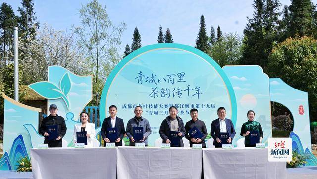 非遗焕新 茶香致远——都江堰“青城三月三采茶节”解码产业振兴新路径(图7)