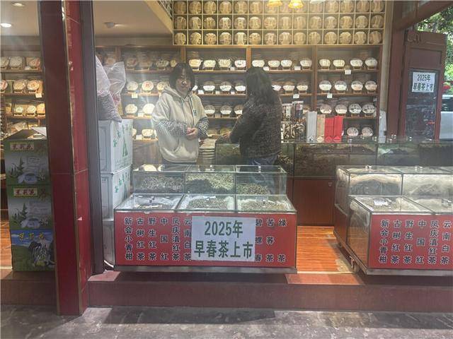 以台地绿茶为主昆明市场春茶上市95元400元公斤(图1)
