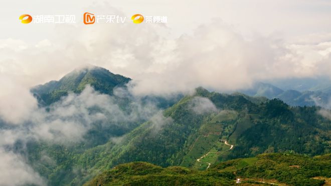 热评｜jbo竞博下载安化黑茶：一茶一业品湖湘(图1)