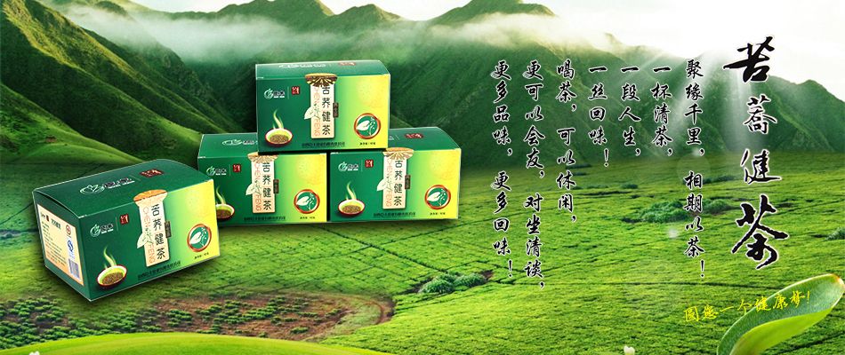 小茶叶变身“黄金叶”这款好茶产自鹤城抢“鲜”开采