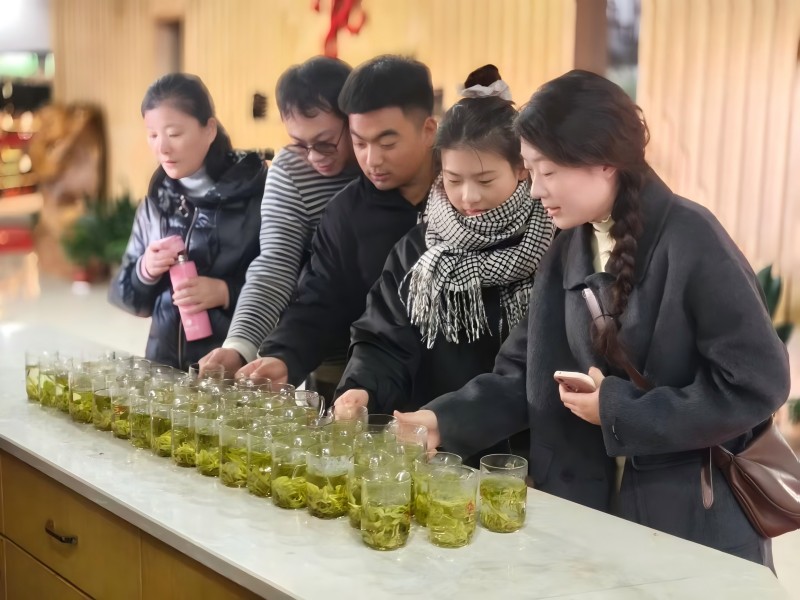 jbo竞博平台春茶抢“鲜”上市 湖州安吉白茶香飘致富路(图1)