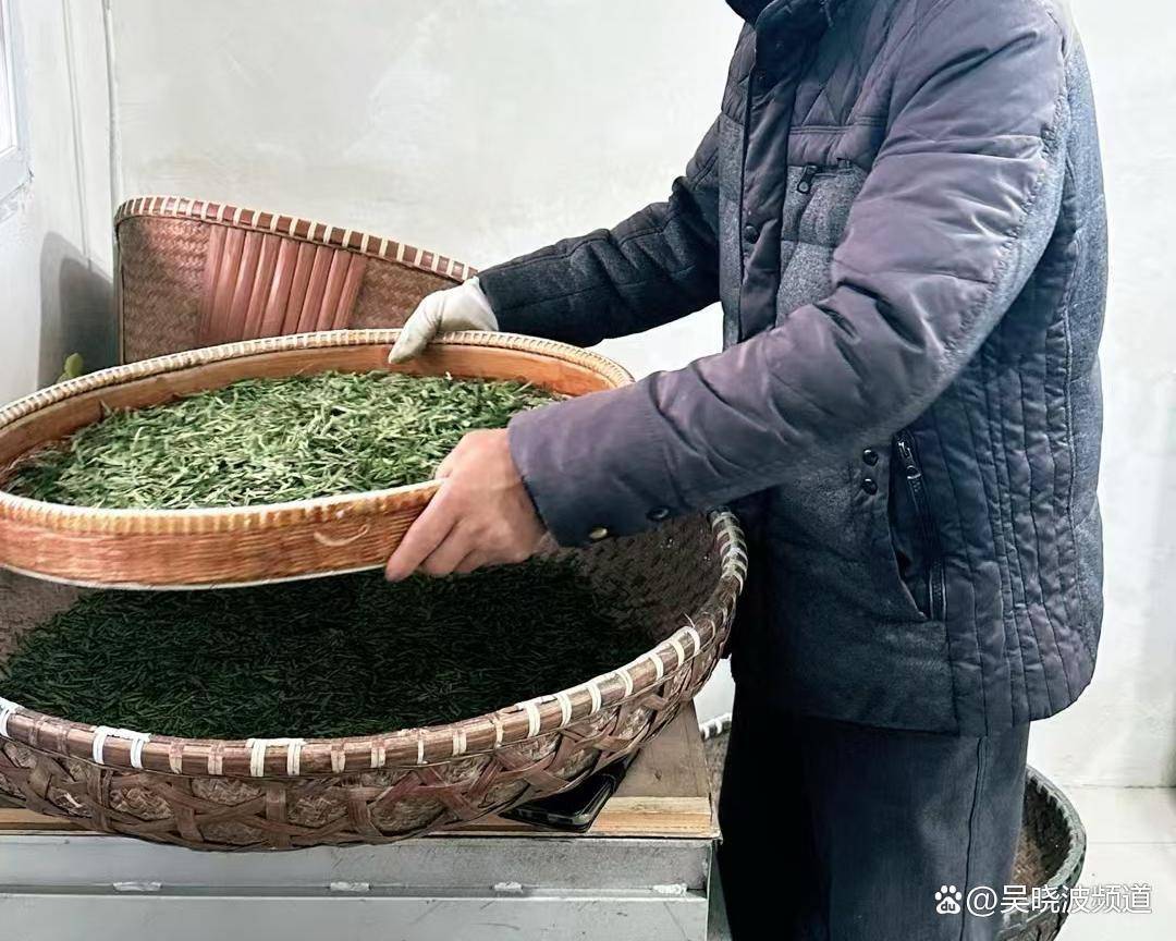 “天价”与“薄利”揭秘明前西湖龙井生意｜一线(图3)