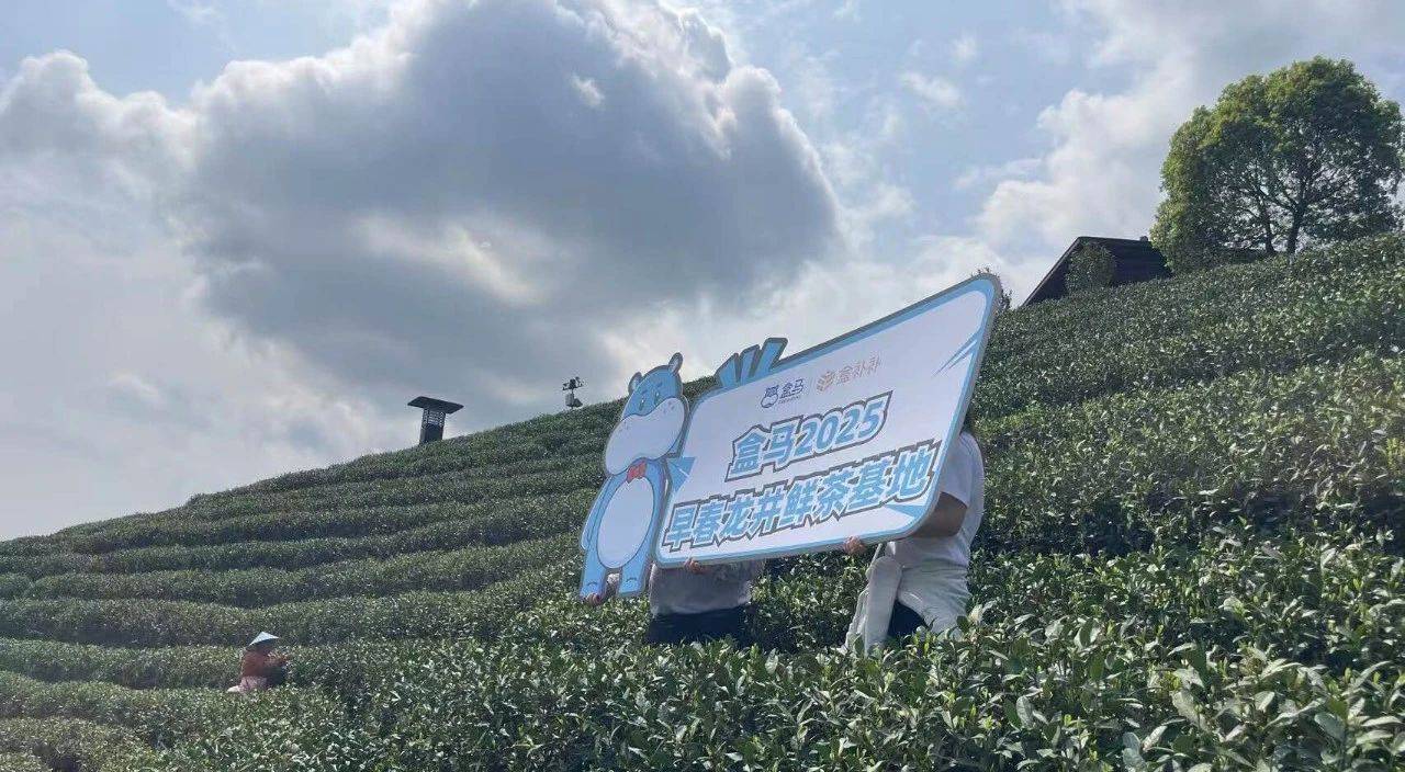 盒马“采茶”闯入6000亿红海市场(图2)