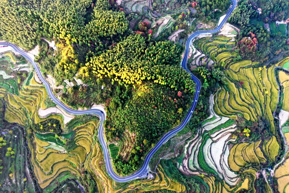 黃山市徽州區：賞花踏青點燃“春日經濟”(图2)