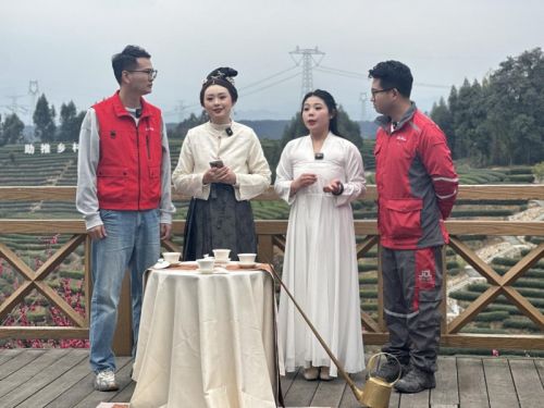 非遗茶艺×现代物流：京东快递打造春茶出山“最快双通jbo竞博登录道”(图5)