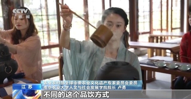 文化中国行丨营收上亿古老茶乡邂逅“茶+”新生态闯出新赛道(图4)