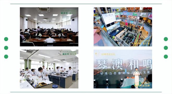 非遗文化传承出海振兴领航华南农业大学技能培训与职业竞赛jbo竞博入口(图8)