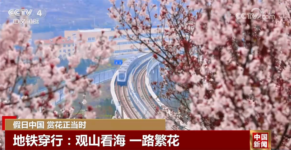 清明假期文旅融合“春”意盎然“新”意浓 消费市场活力足人气旺(图12)