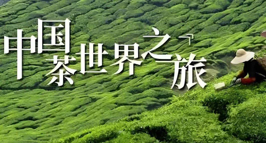 全球股市巨震来袭中国茶行业该如何化“危”为“机”？(图4)