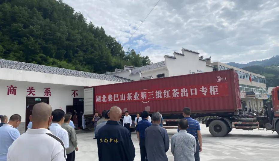 全球股市巨震来袭中国茶行业该如何化“危”为“机”？(图7)