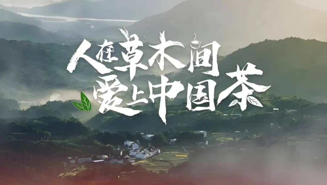 全球股市巨震来袭中国茶行业该如何化“危”为“机”？(图10)