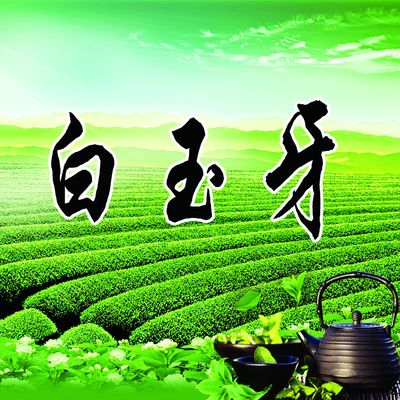 茶叶专家为英德红茶现场把脉开方