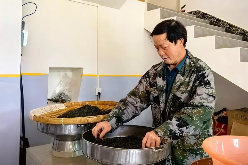 镇宁：以茶兴业 以茶富民(图5)