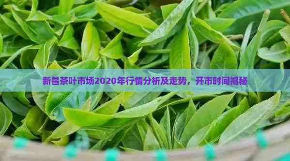 新昌茶叶市场2020年行情分析及走势开市时间揭秘jbo竞博平台(图3)