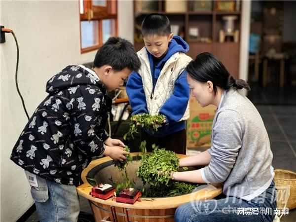 “探秘茶文化·体验劳动美”茶山研学之旅走进纳溪特早茶基地(图5)