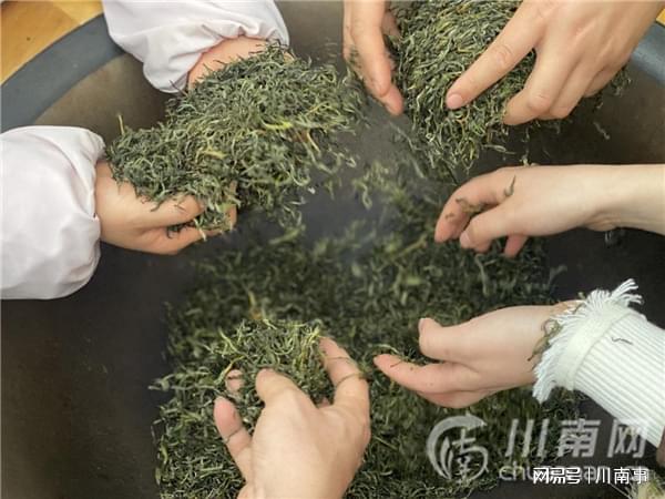 “探秘茶文化·体验劳动美”茶山研学之旅走进纳溪特早茶基地(图6)
