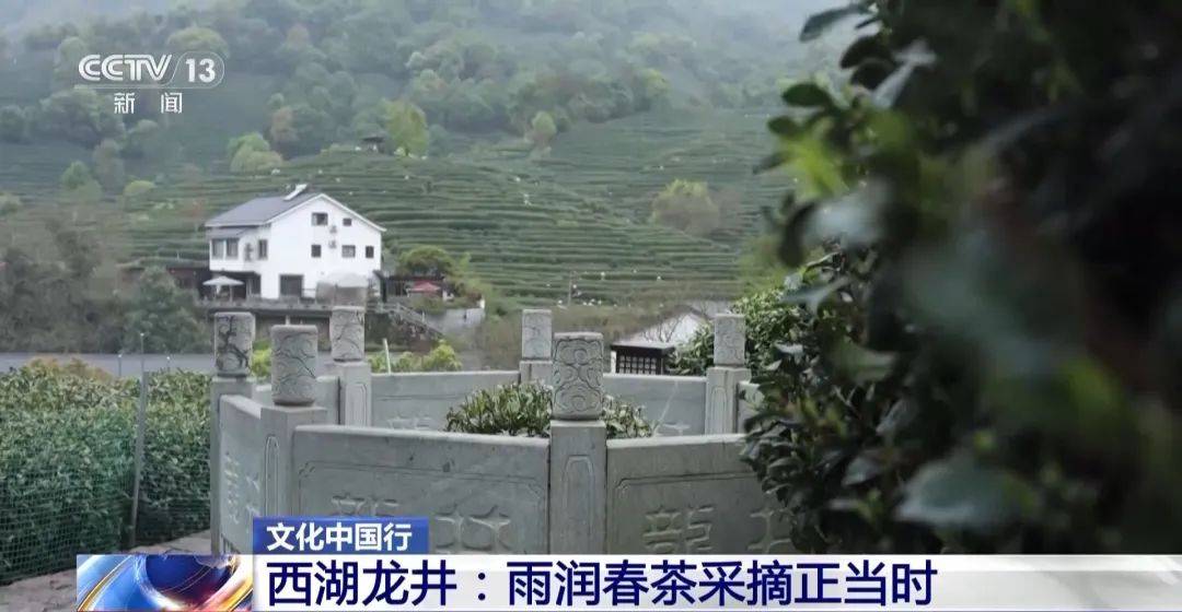 杭州的这口“鲜”又上央视这里的春天有点东西(图1)