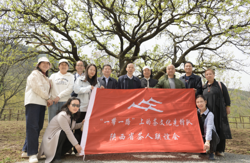 陕西省茶人联谊会成功举办东坡瓦舍论证研讨会(图1)