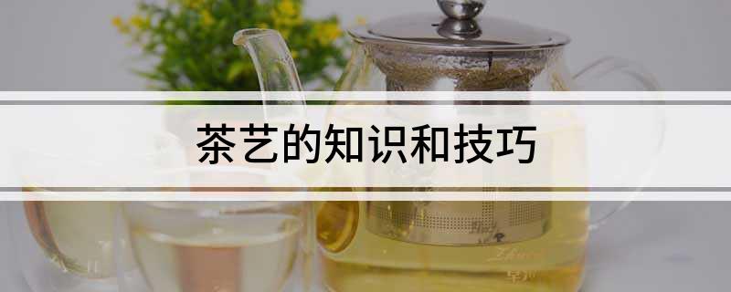 茶艺的知识和技jbo竞博官网巧(图1)