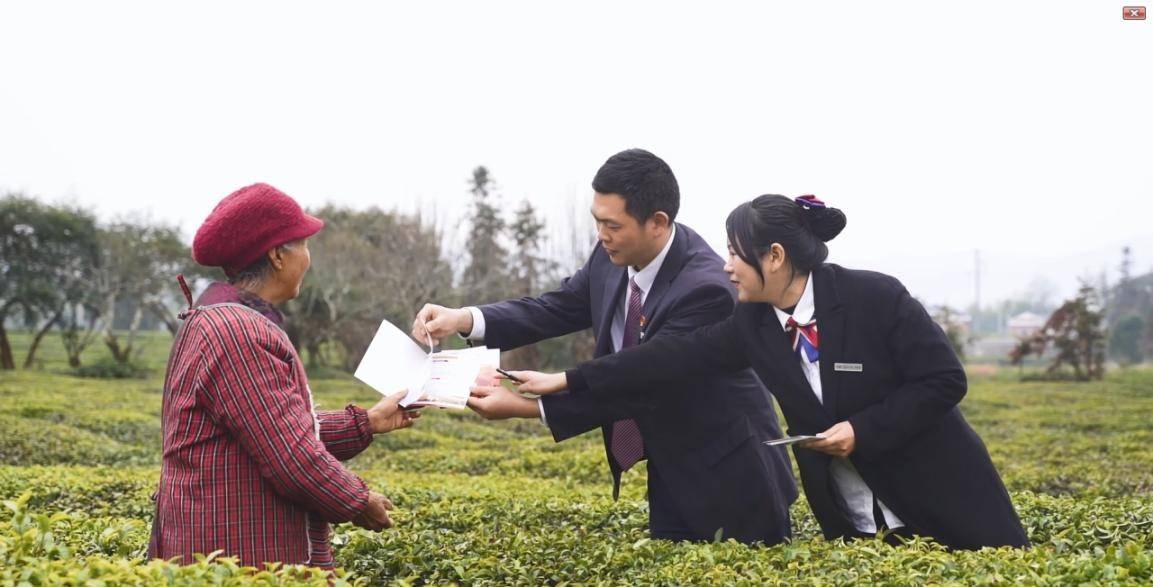 工行景德镇分行：金融涌泉“沏”出浮梁茶香(图3)