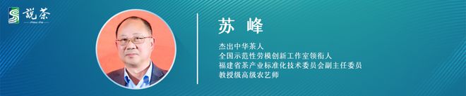 解码2025早春茶这些市场趋势与价格走势值得关注(图3)